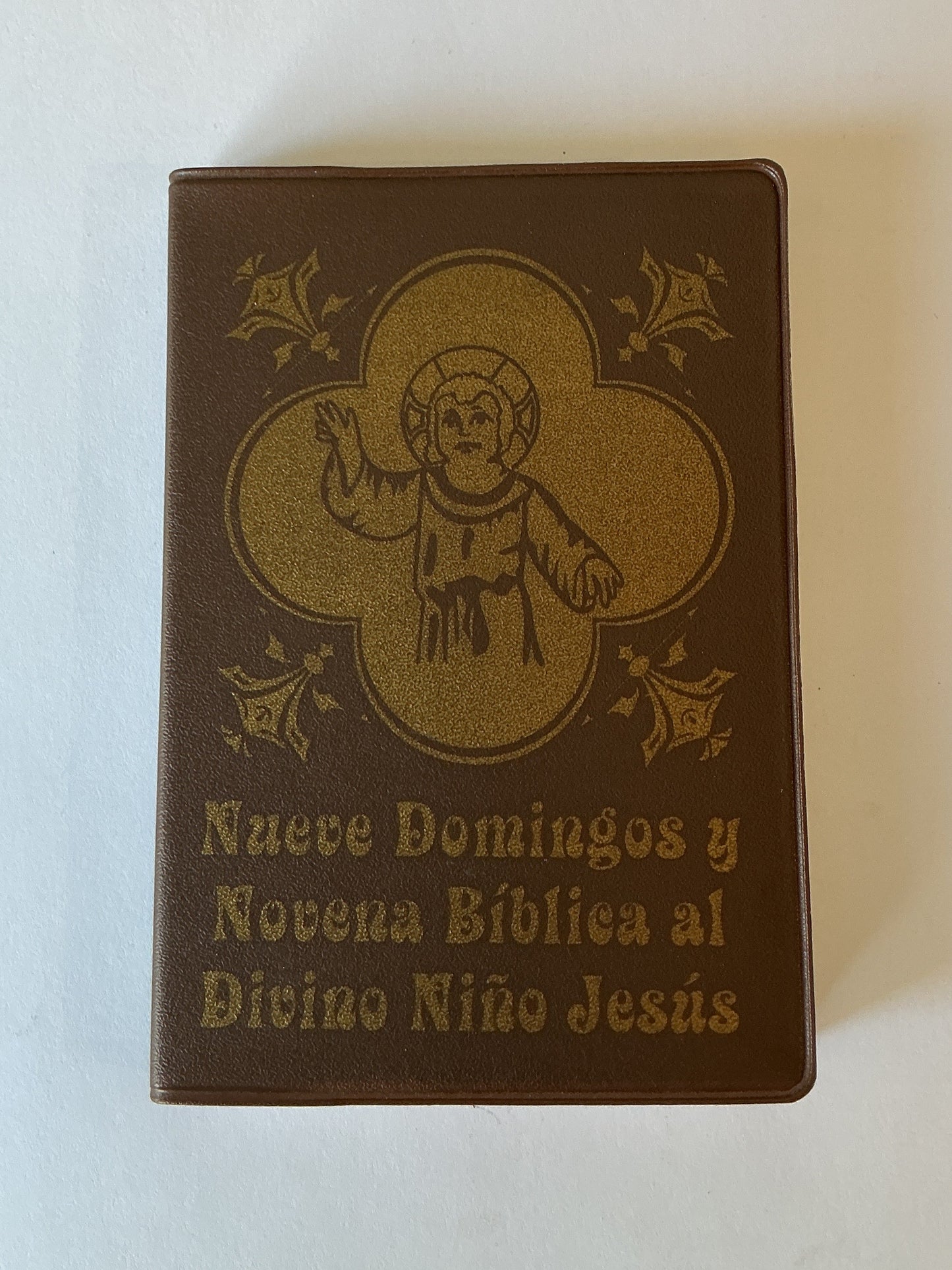 Nueve Domingos y Novena Biblia al Divino Niño Jesús