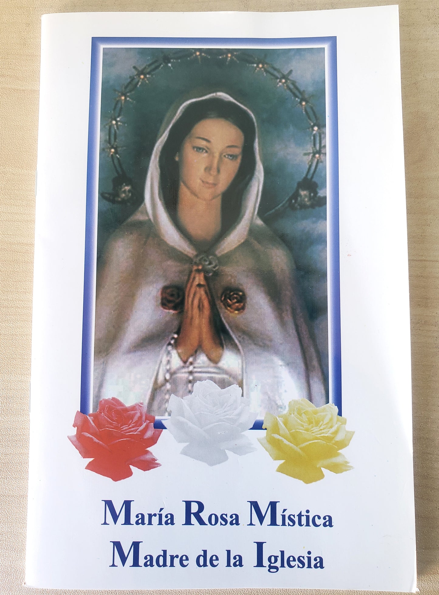 Maria Rosa Mistica Madre De La Iglesia