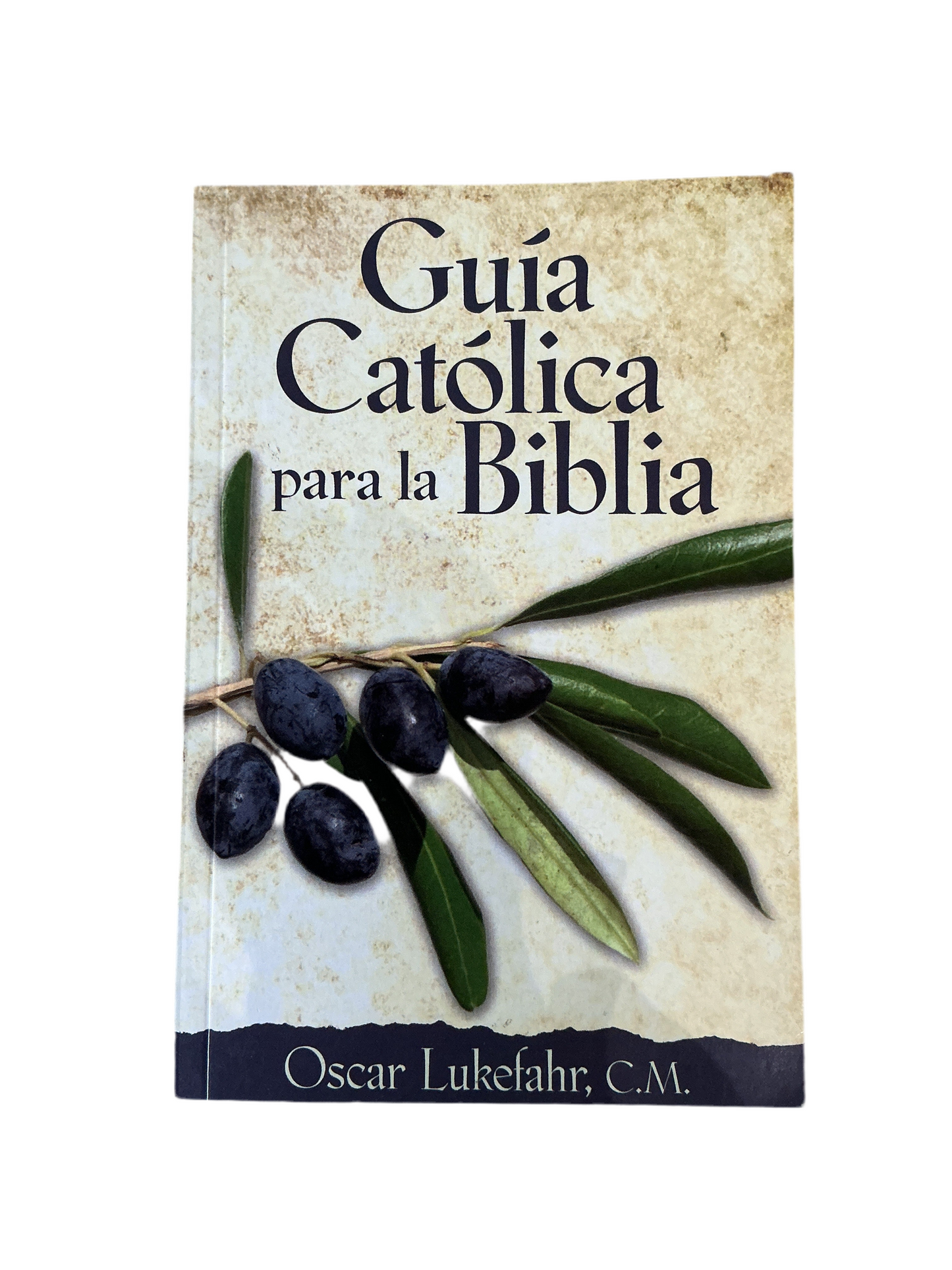 Guía Católica para la Biblia