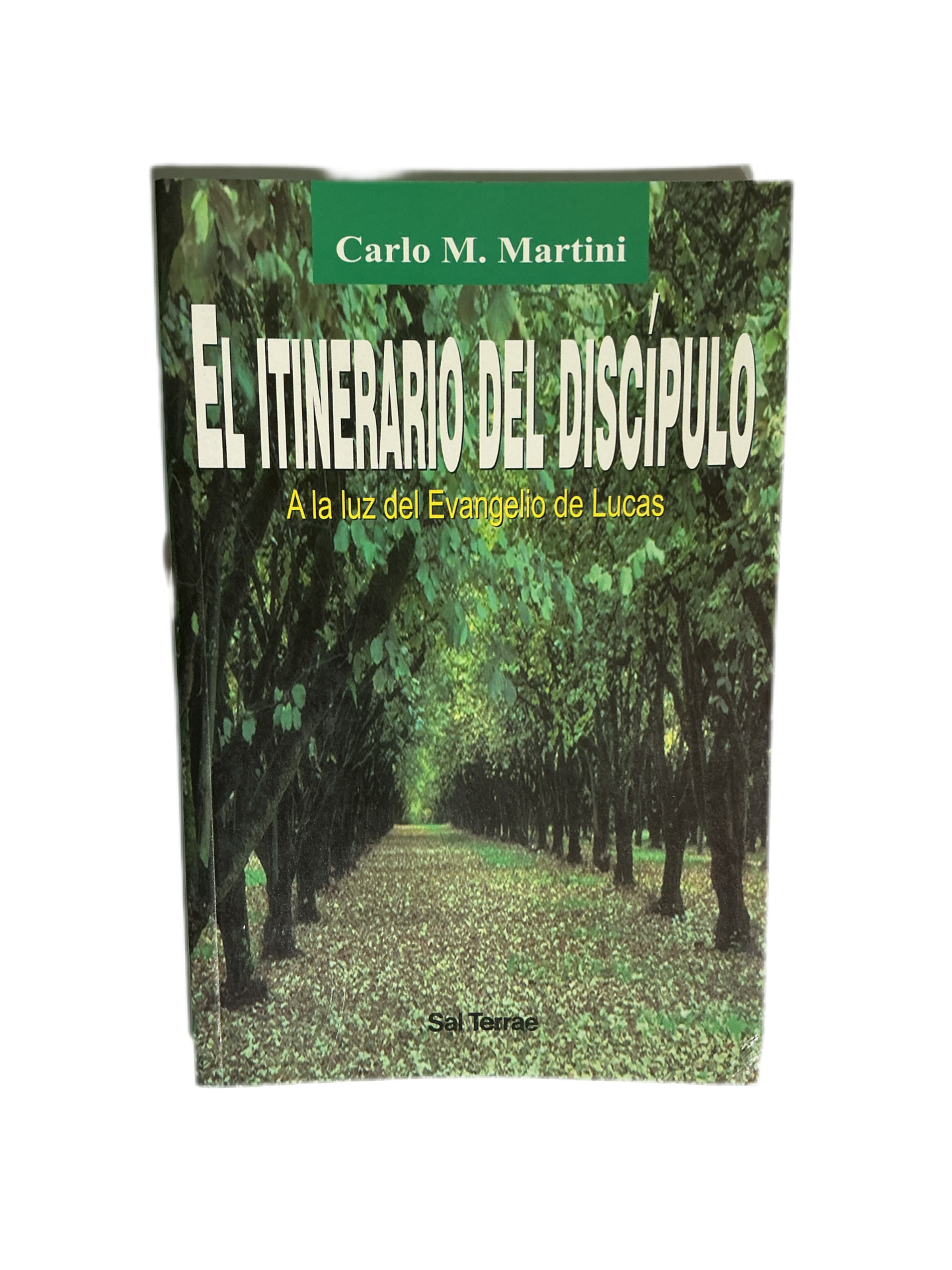 El itinerario de discipulo