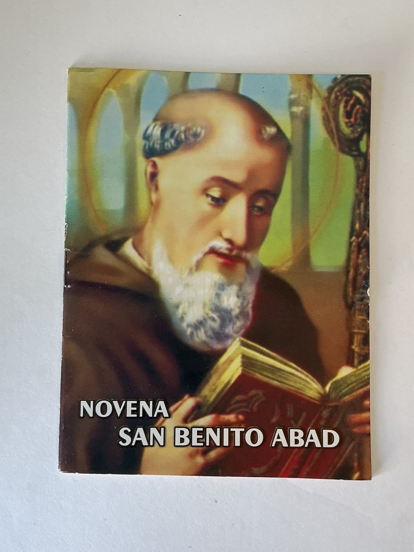Novena San Benito Abad