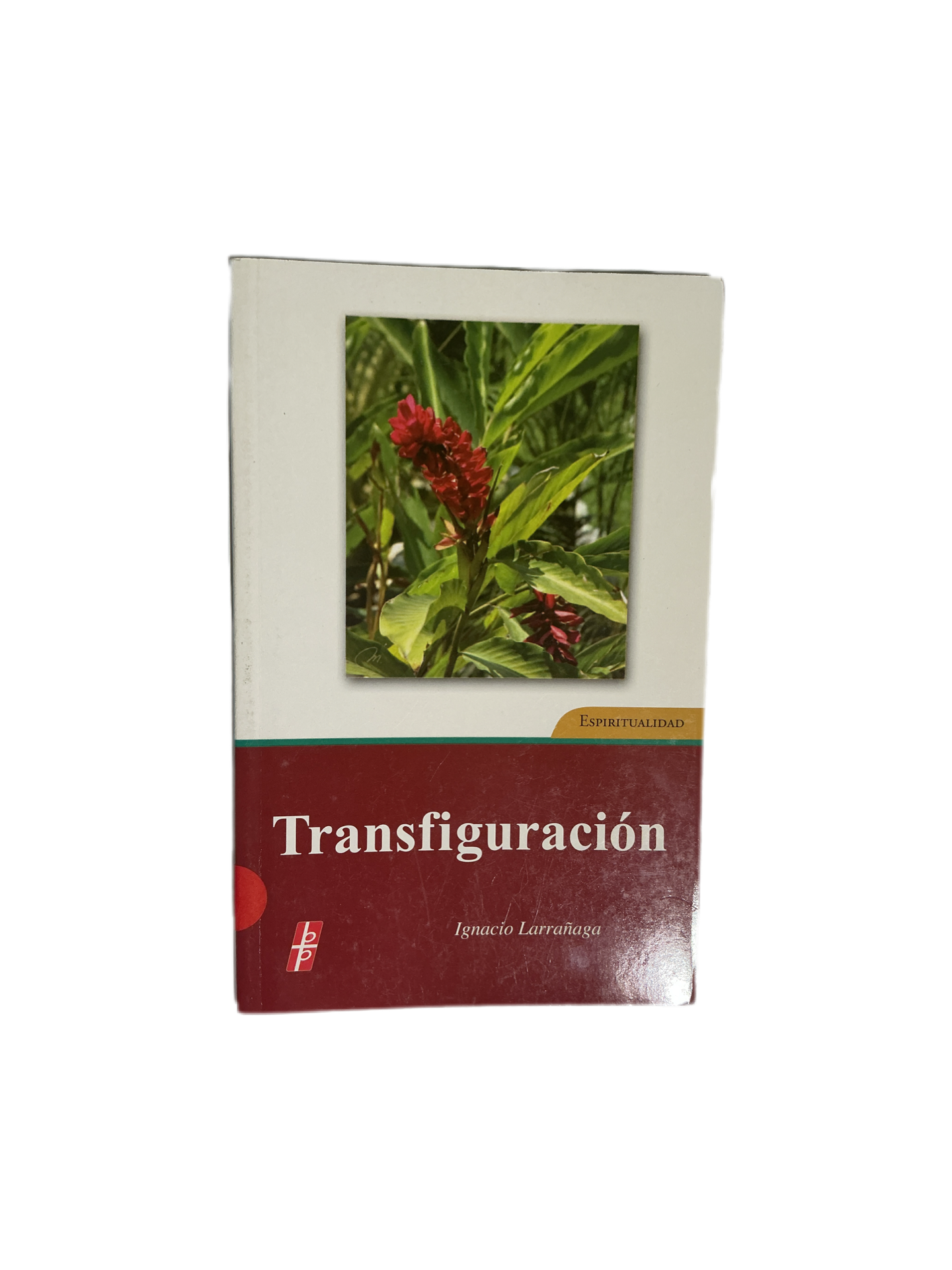 Transfiguracion