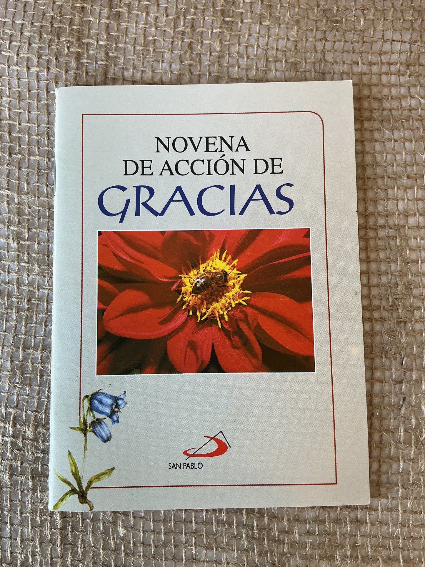Novena de Accion de Gracias