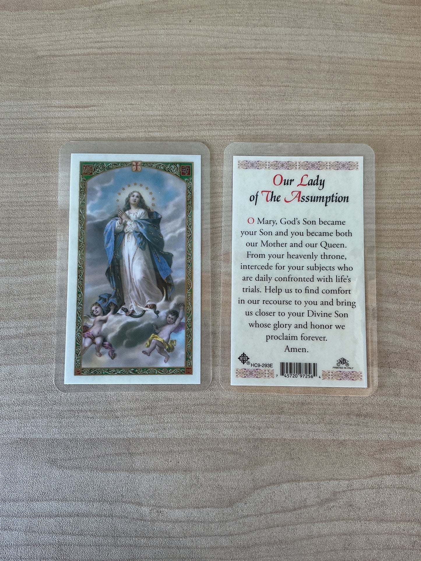 Our Lady of The Assumption