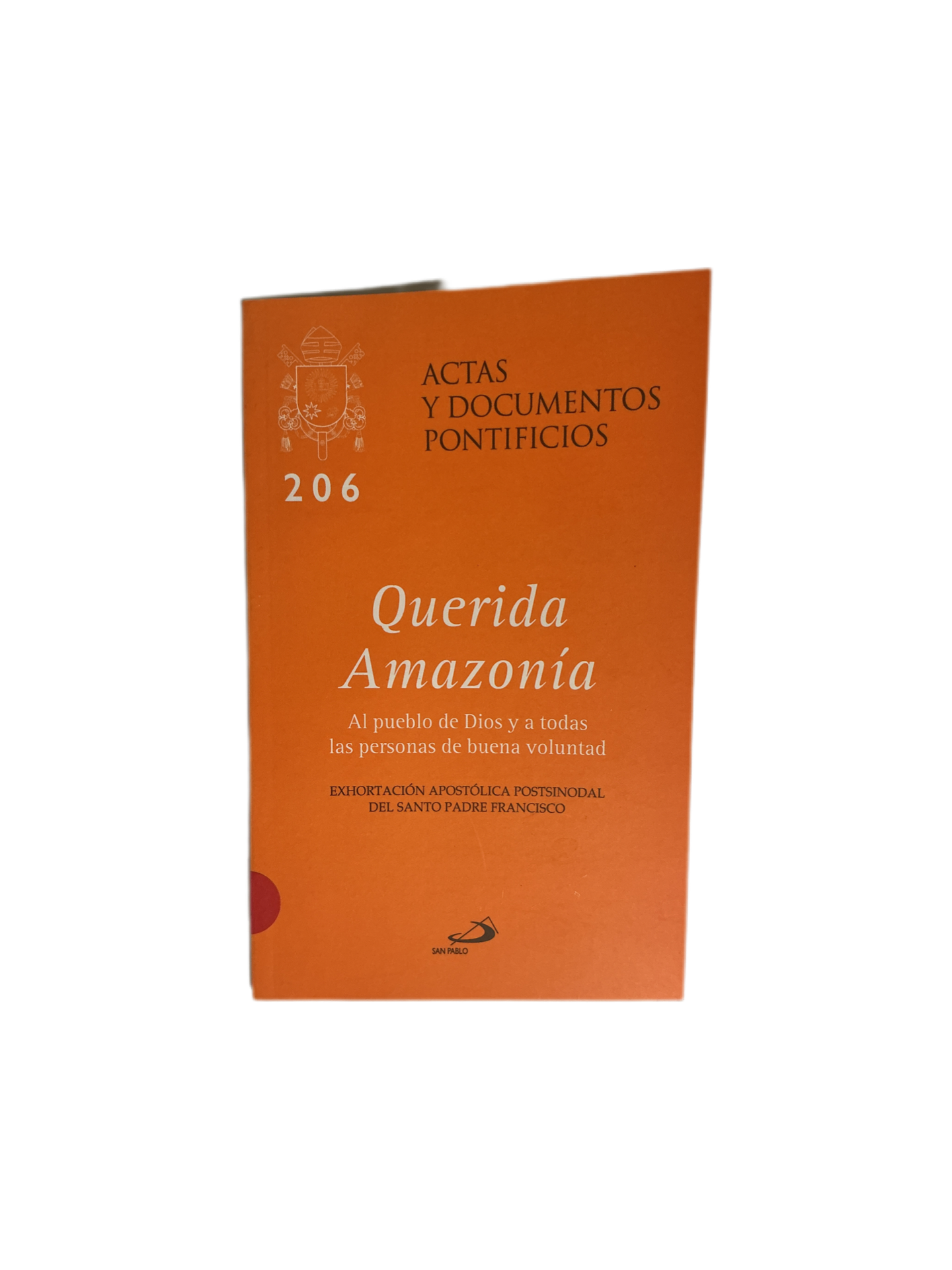 Querida Amazonía