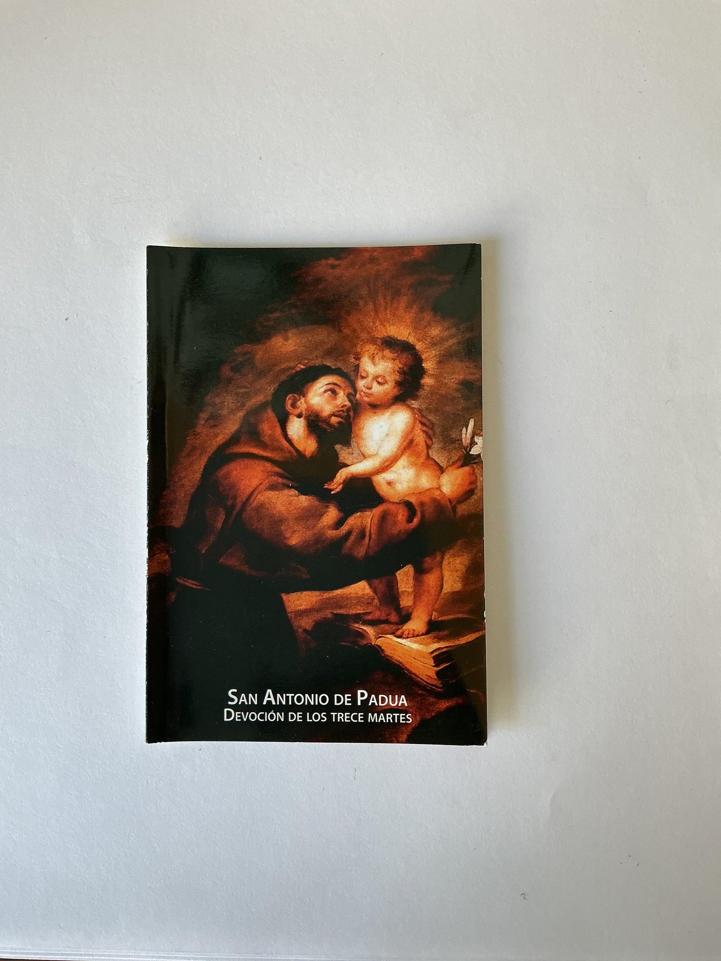 San Antonio de Padua - Devoción de los trece Martes