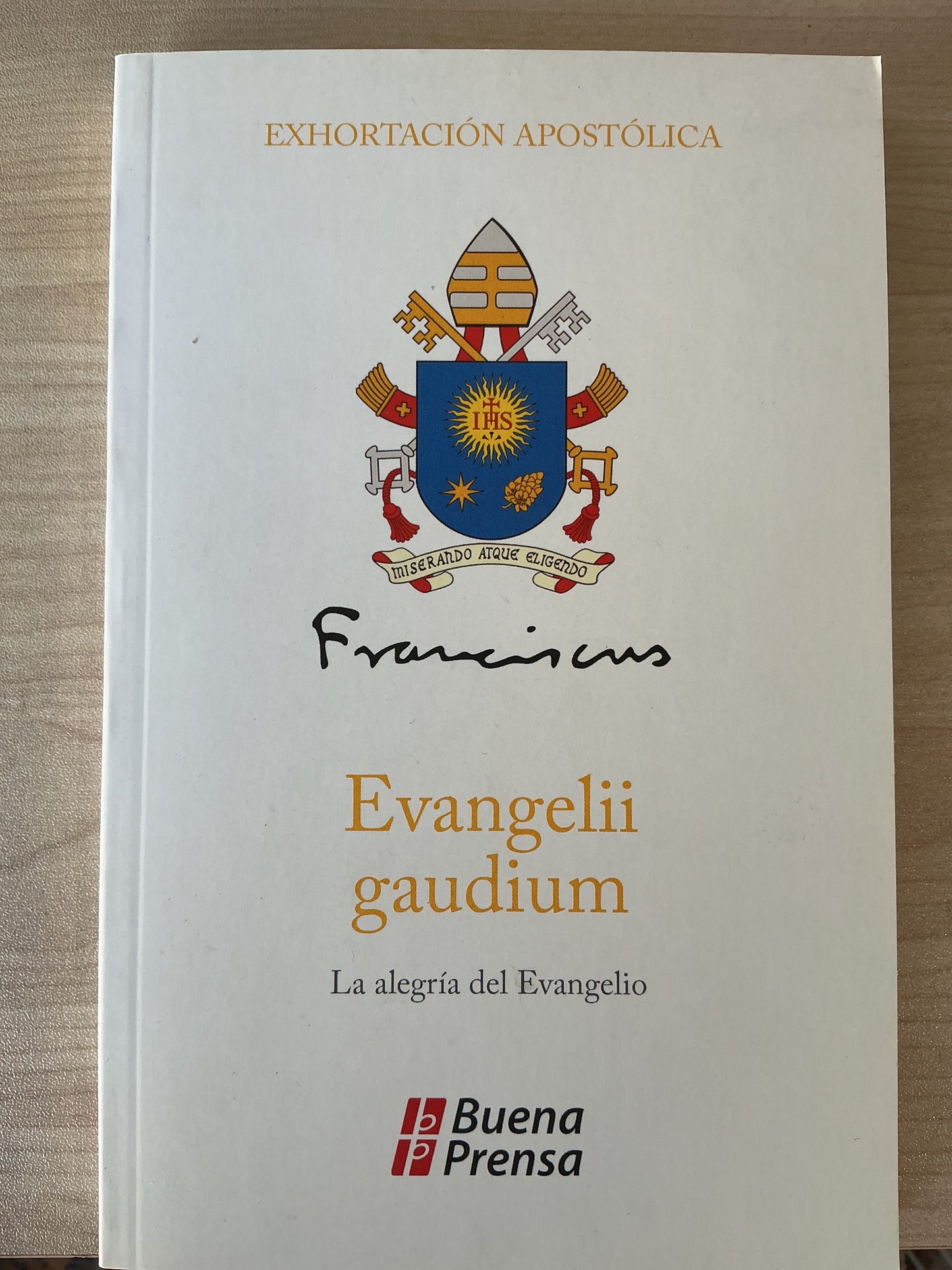 Exhortación Apostólica - Evangelii gaudium - La alegría del Evangelio