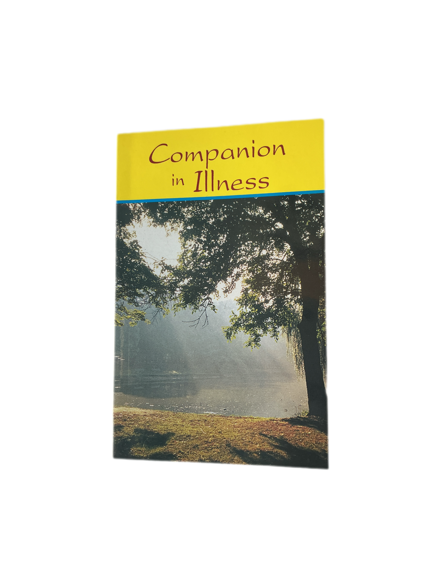 Companion in illness
