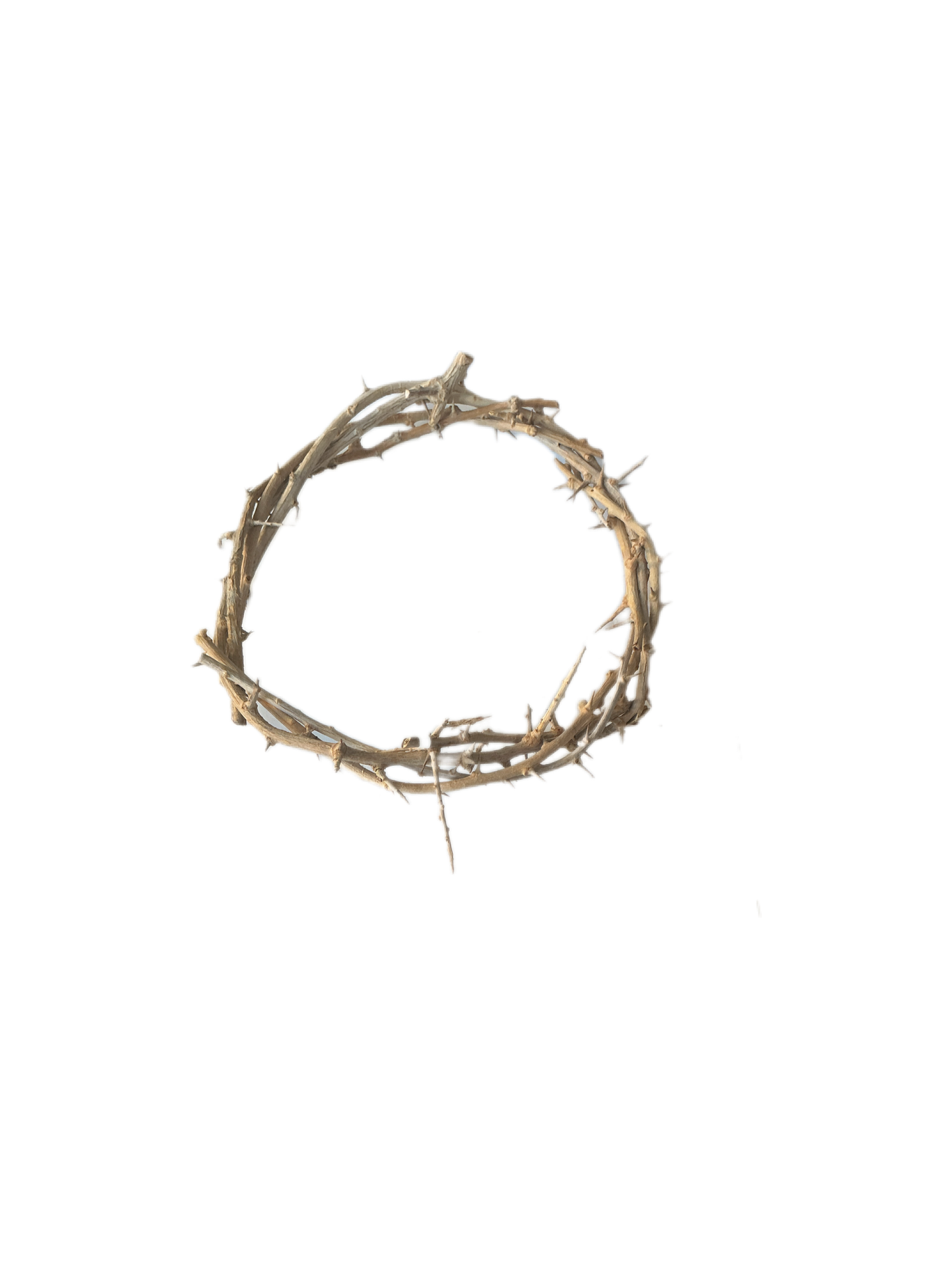 6" Crow F Thorns