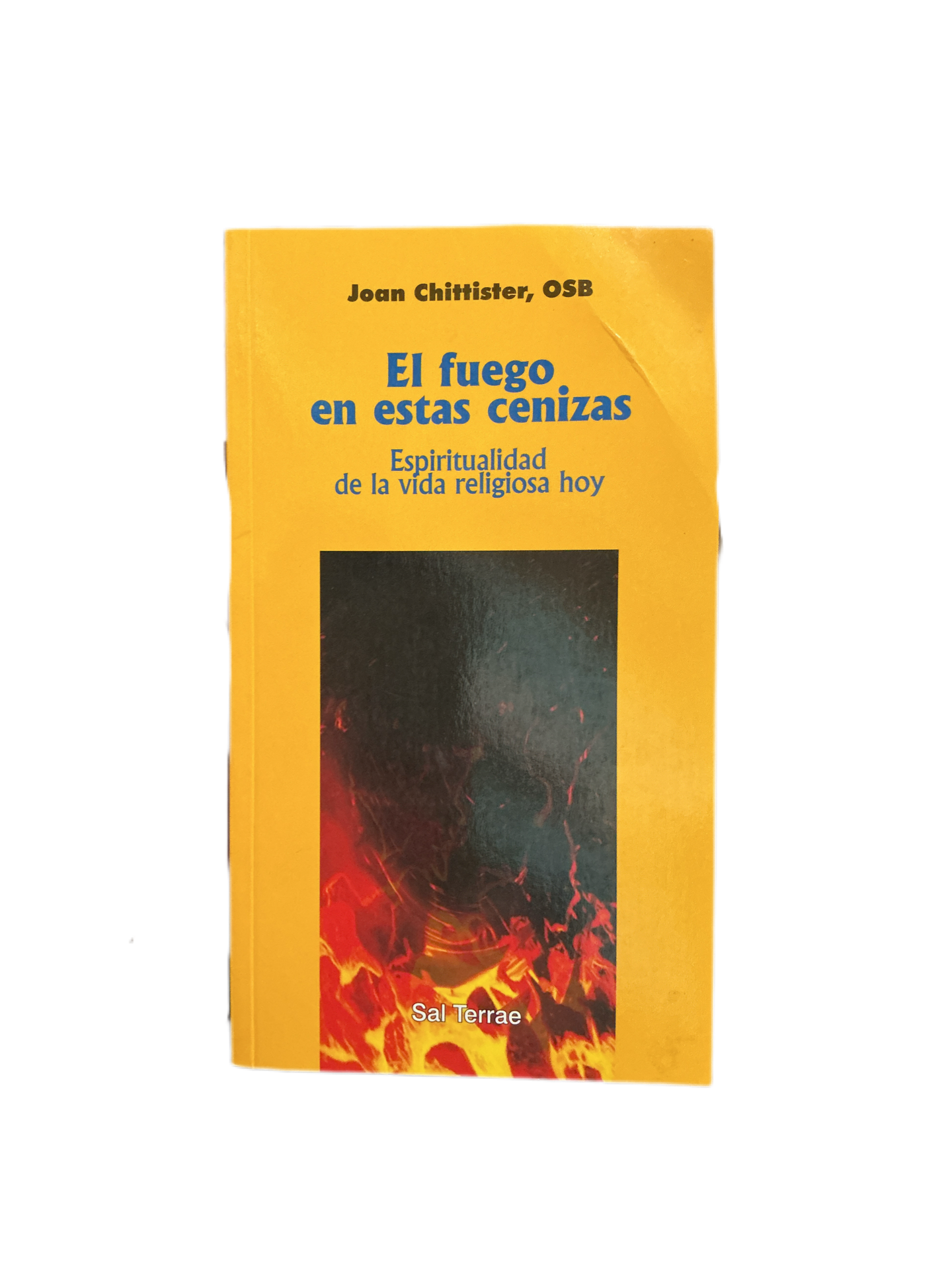 El fuego en estas cenizas