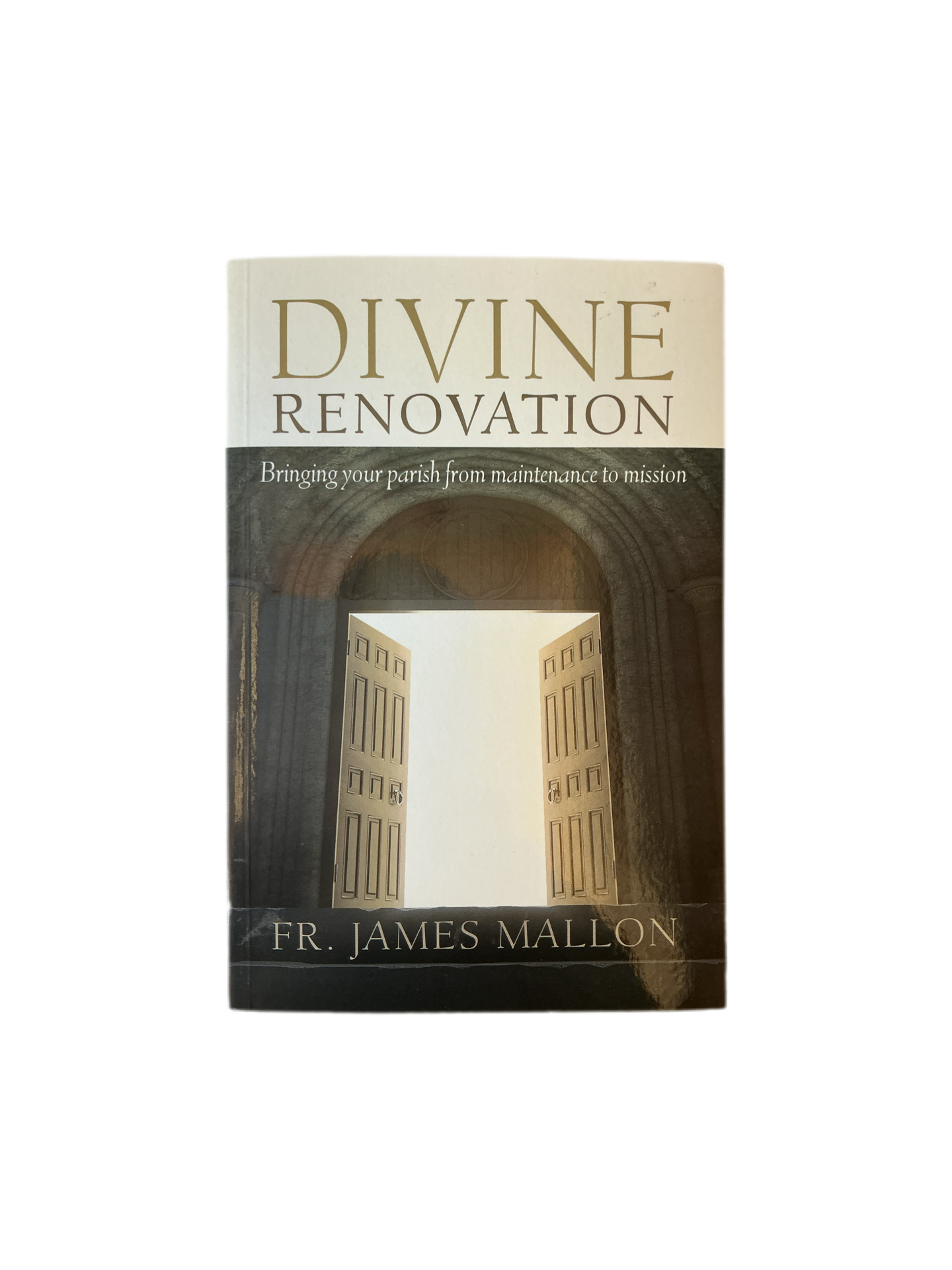 Divine Renovation - Bringing your parish from maintenance to mission