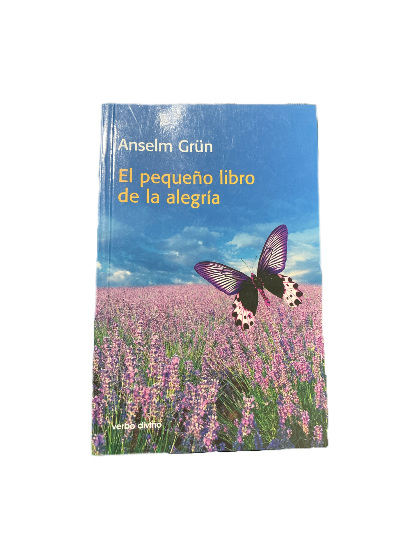El pequeño libro de la alegria