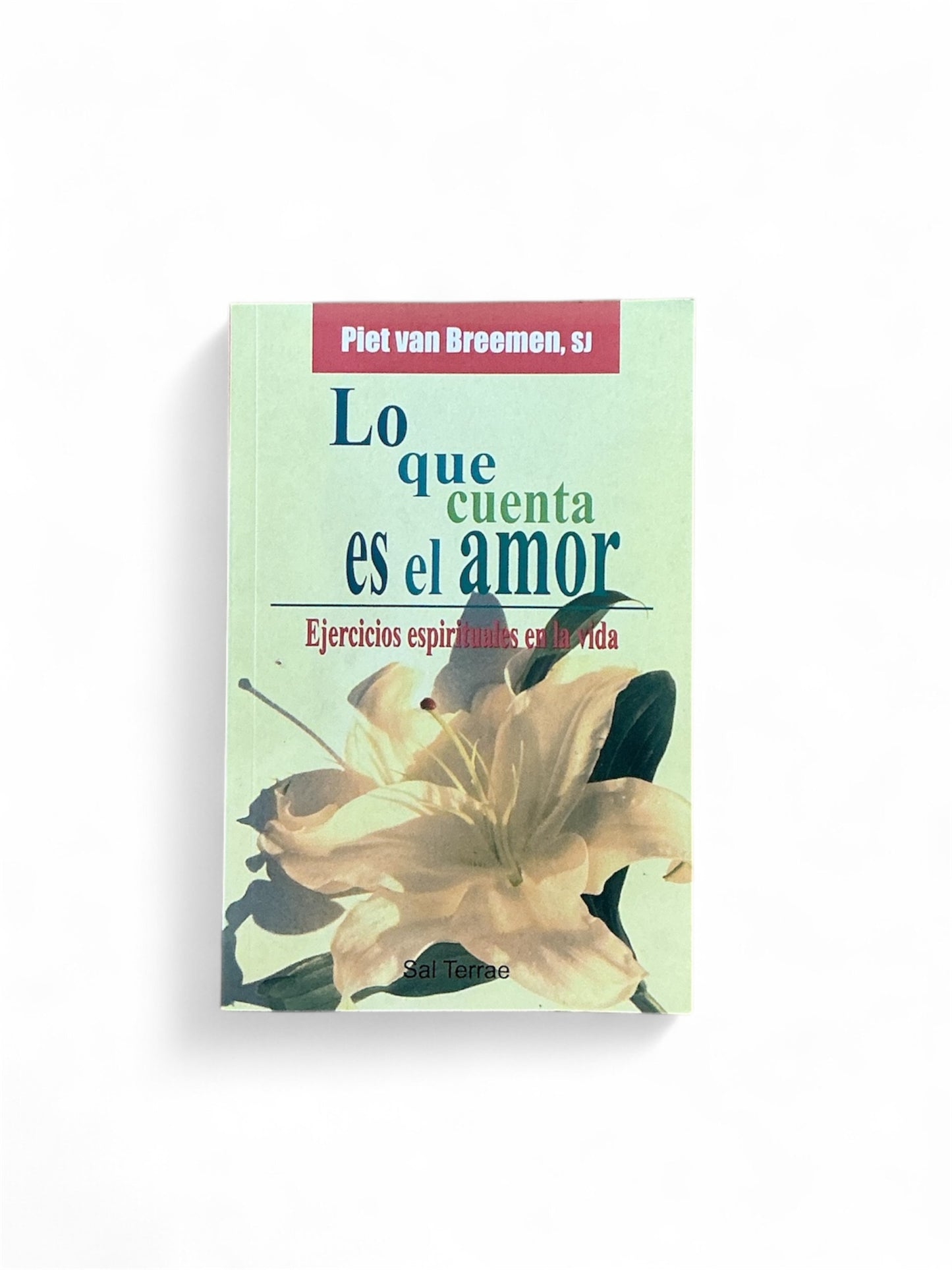Lo que cuenta es el amor