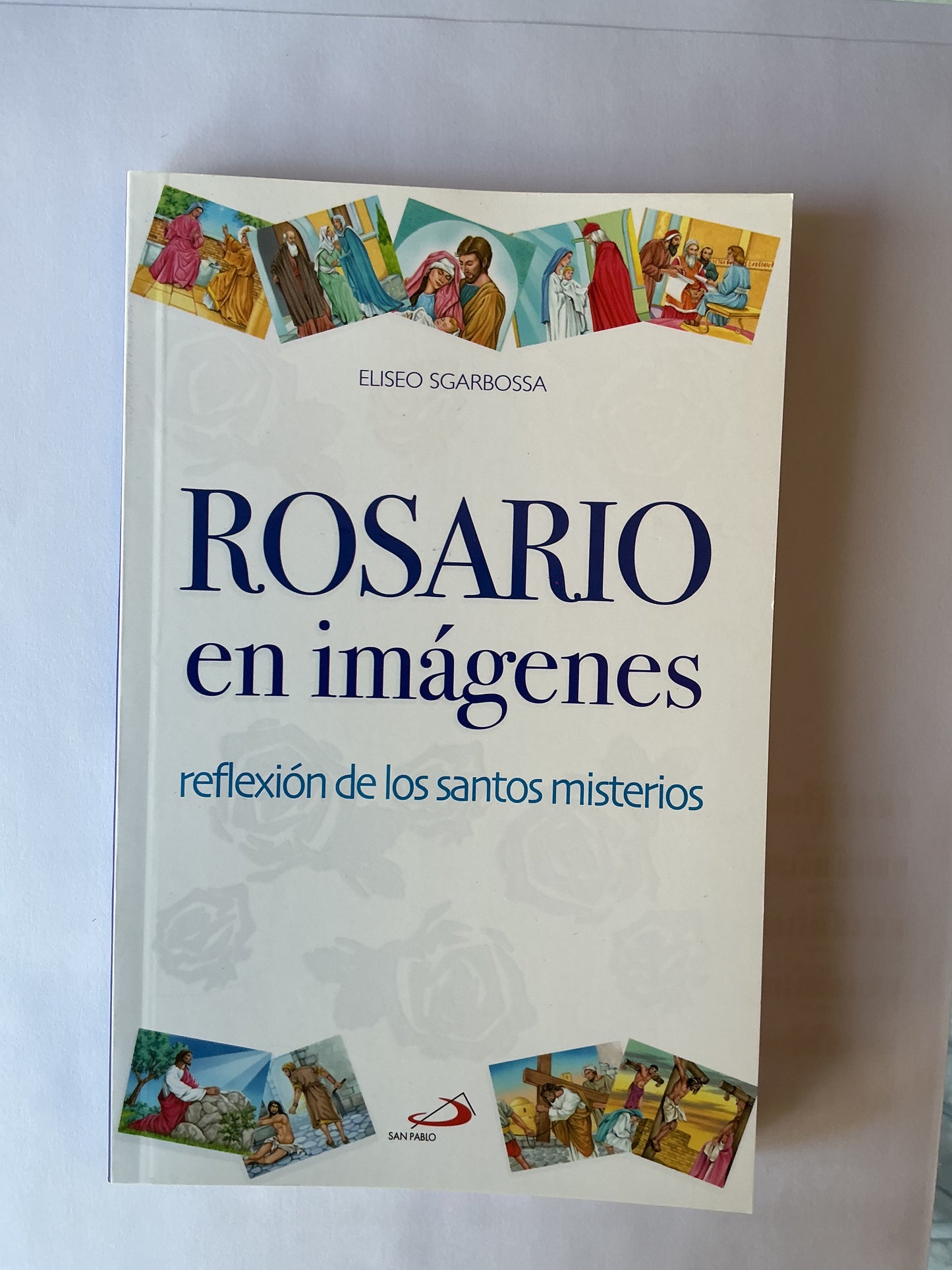 Rosario en Imágenes