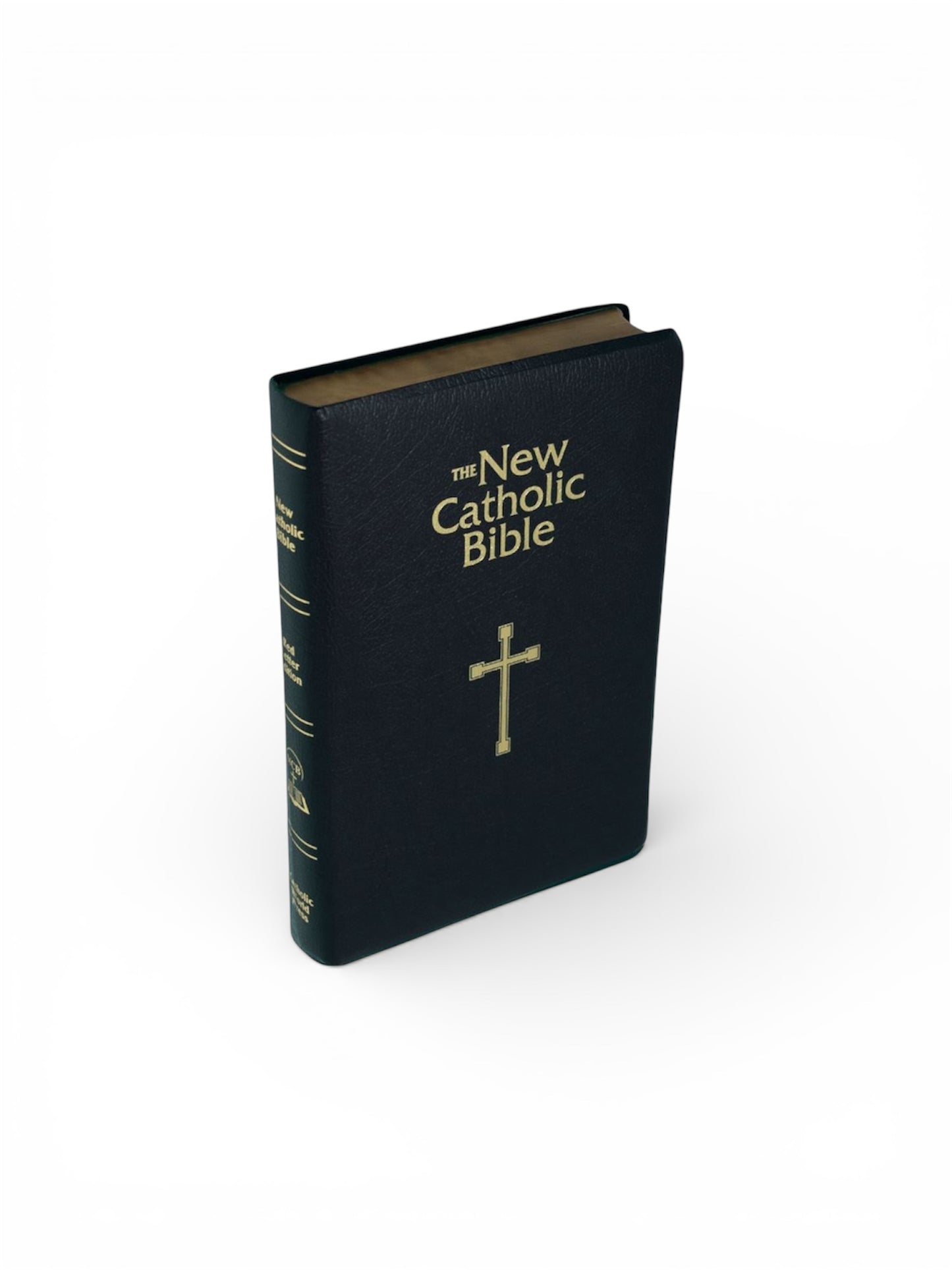 The New Catholic Bible