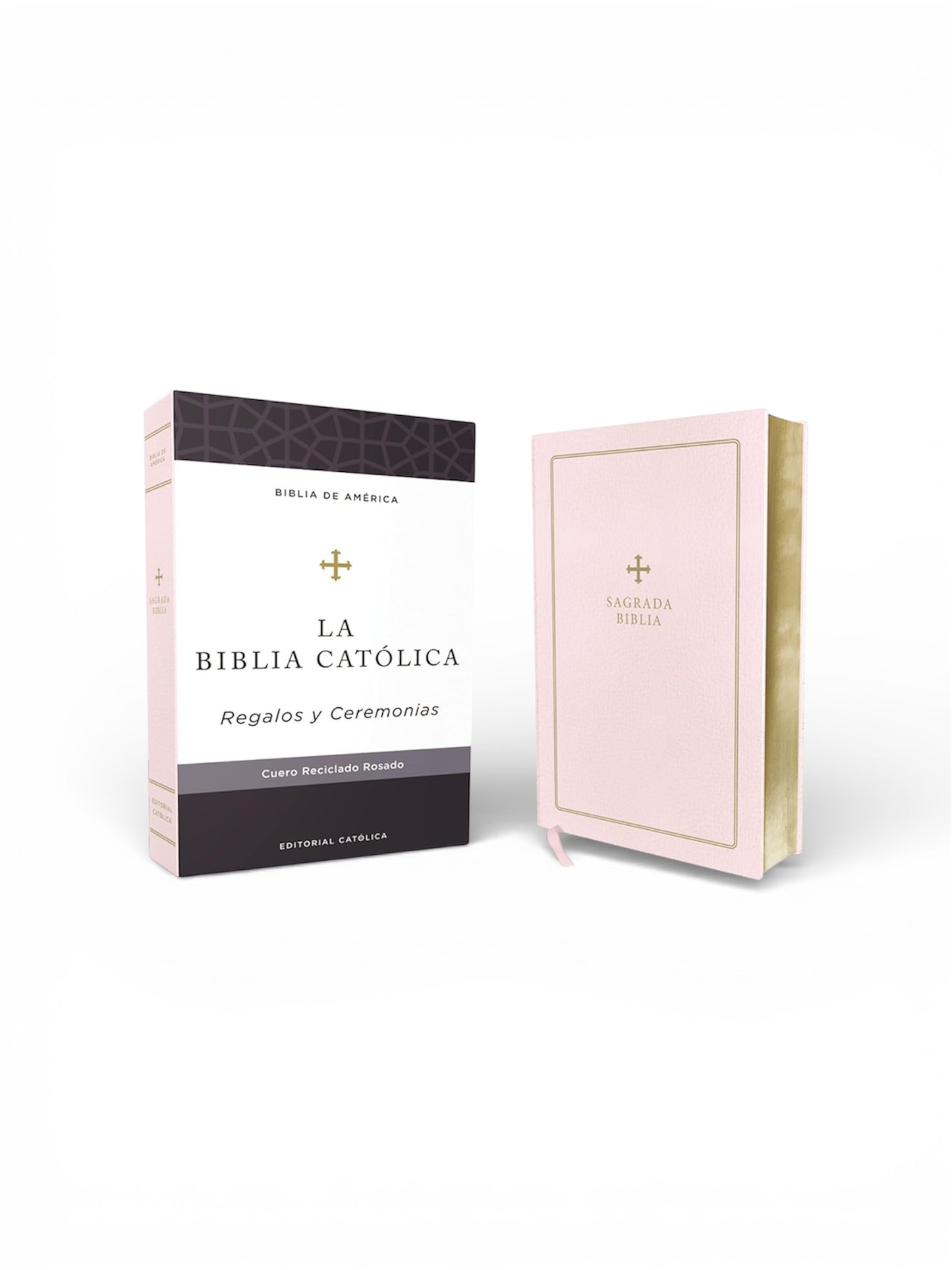 Biblia Católica
