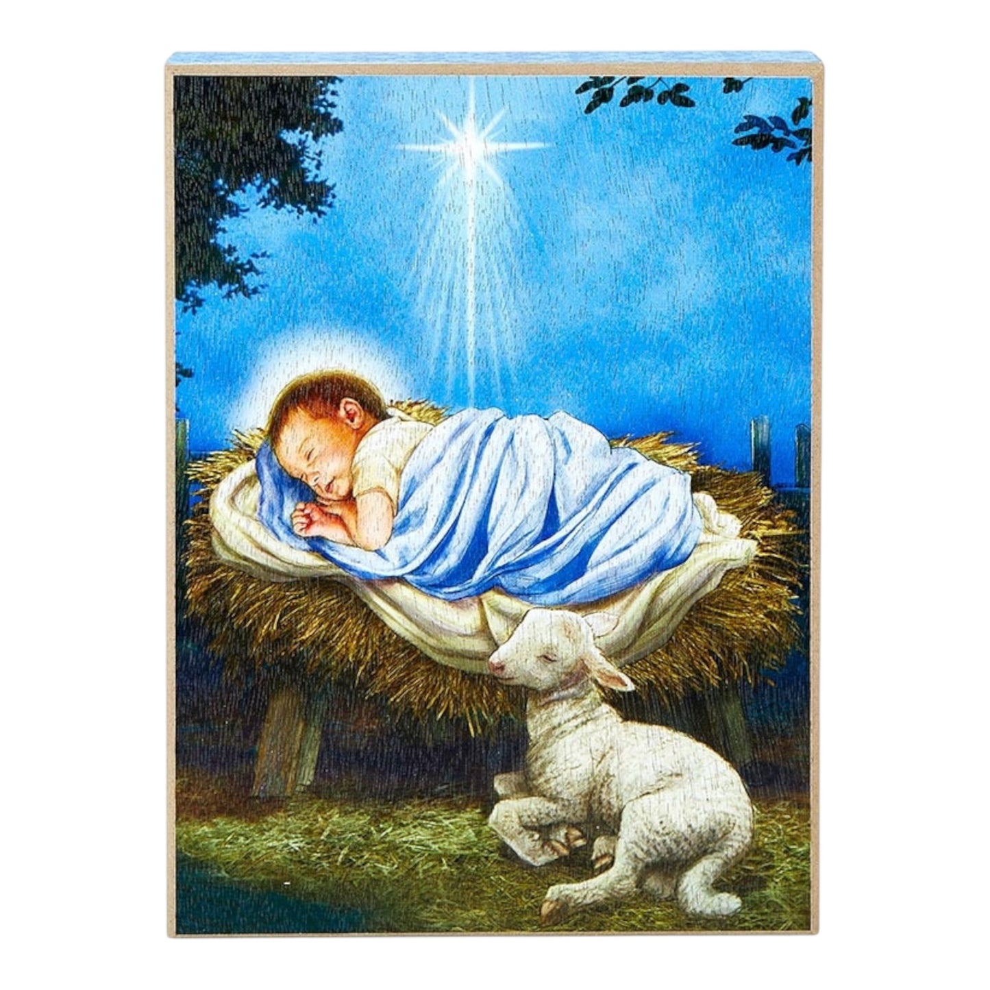 Baby Jesus with Lamb Box Sign