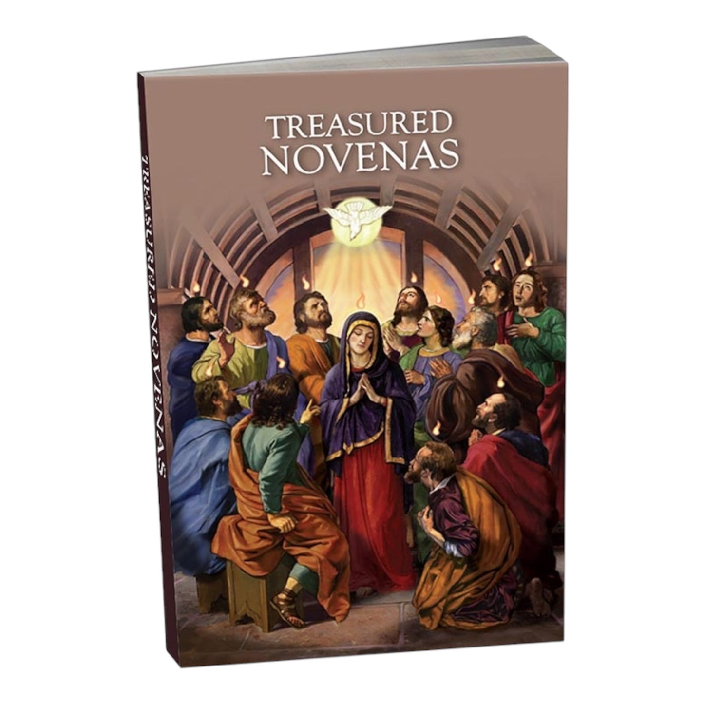 Paperback Treasured Novenas Book