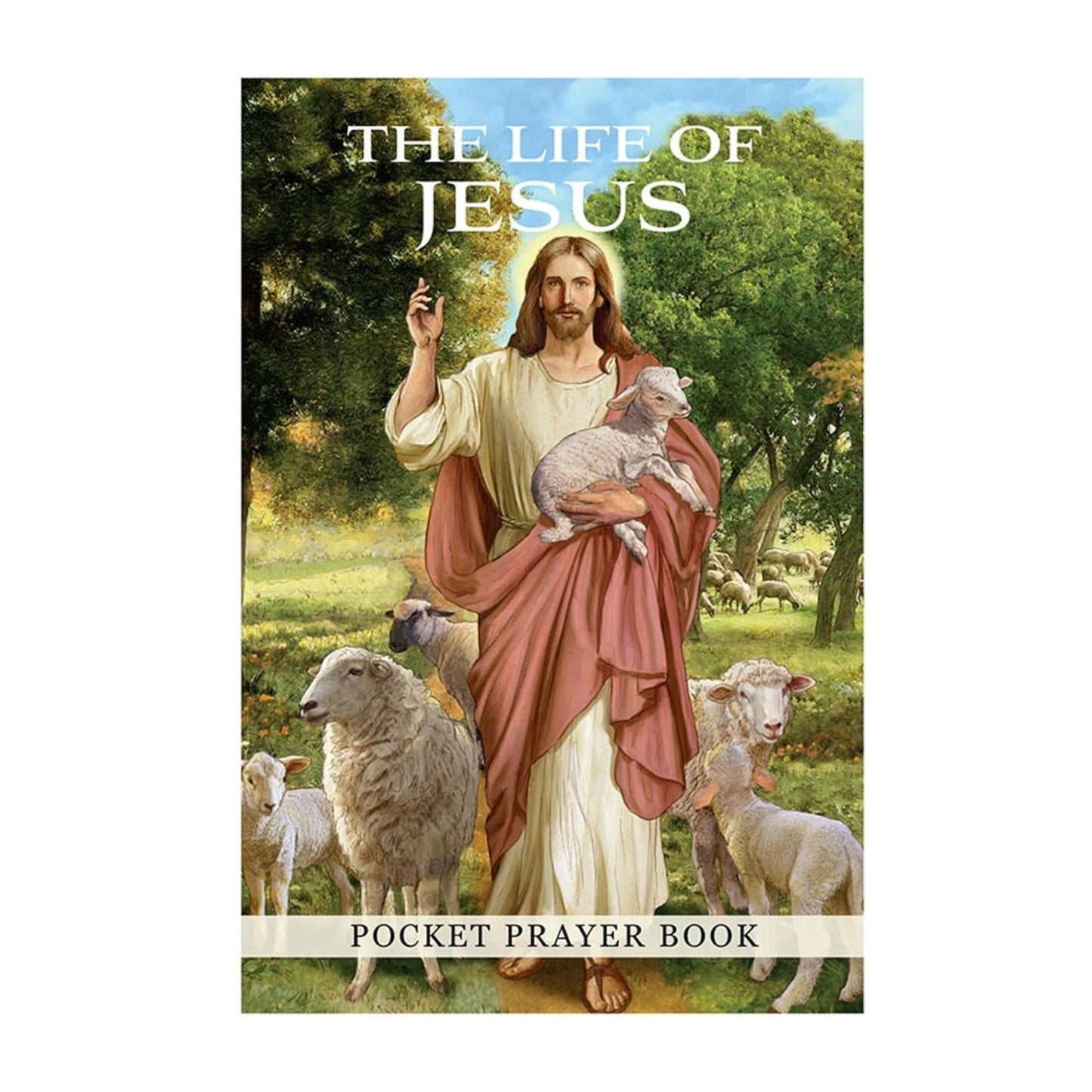 Life Of Jesus