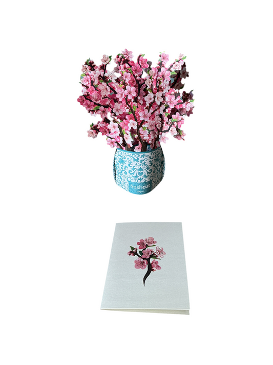 Pop-Up Greeting Card - Cherry Blossoms - with matching notecard