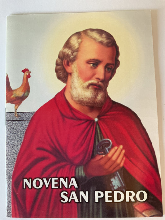 Novena San Pedro