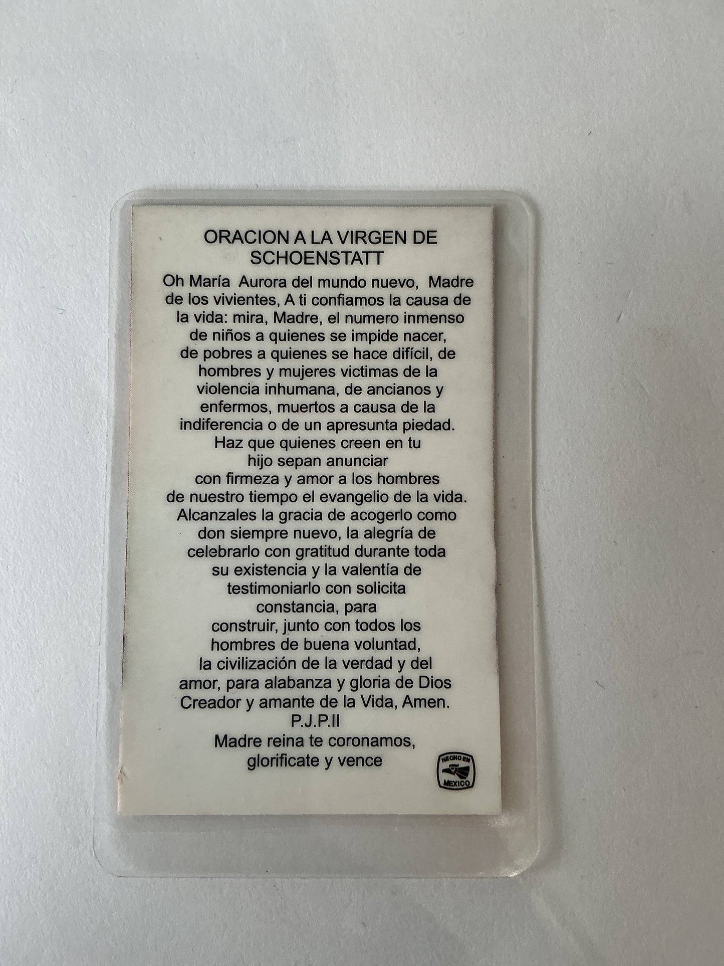 Virgen de Schoenstatt