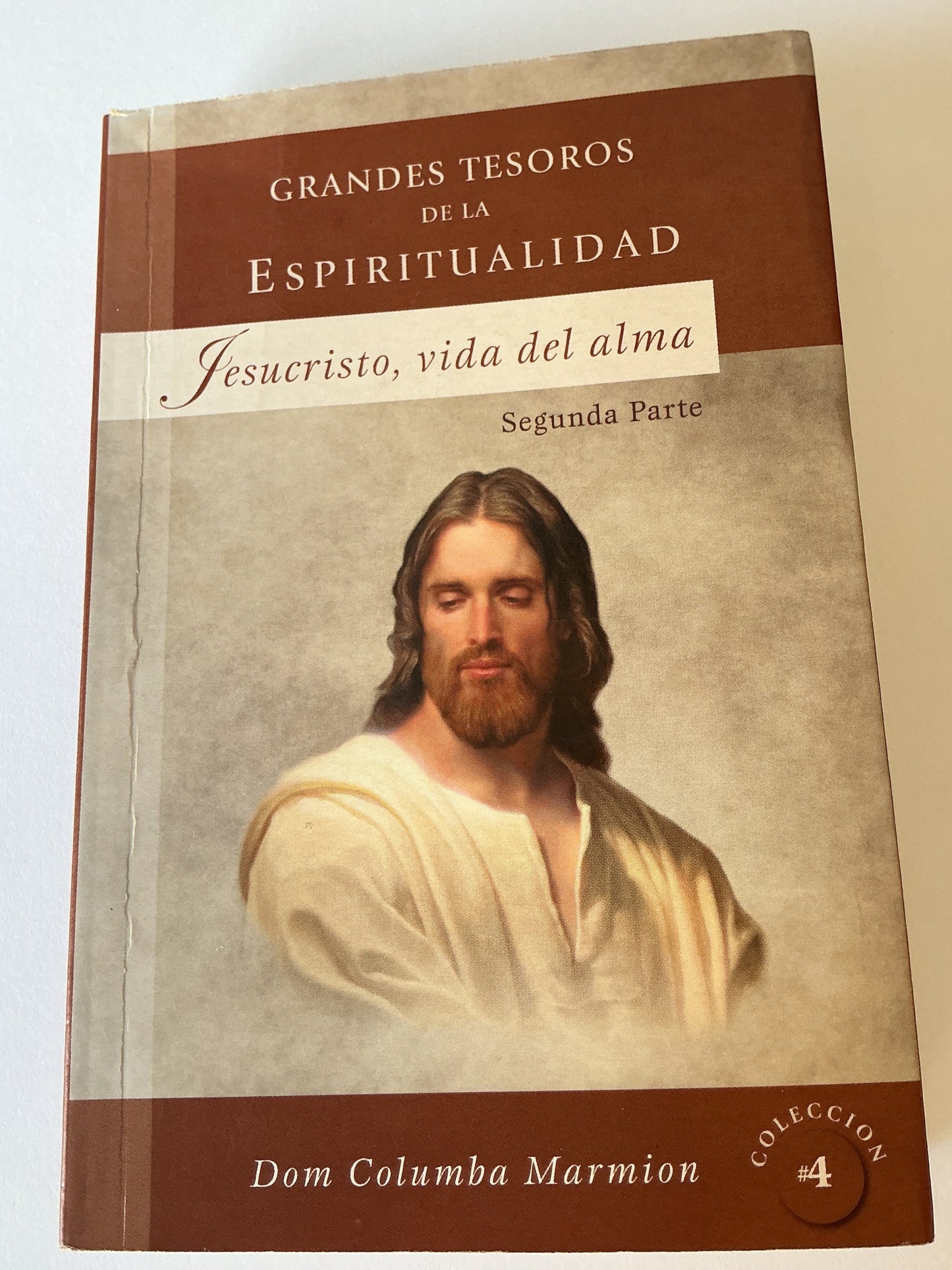 Grandes Tesoros De La Espiritualidad Jesucristo, Vida del Alma (segunda parte)