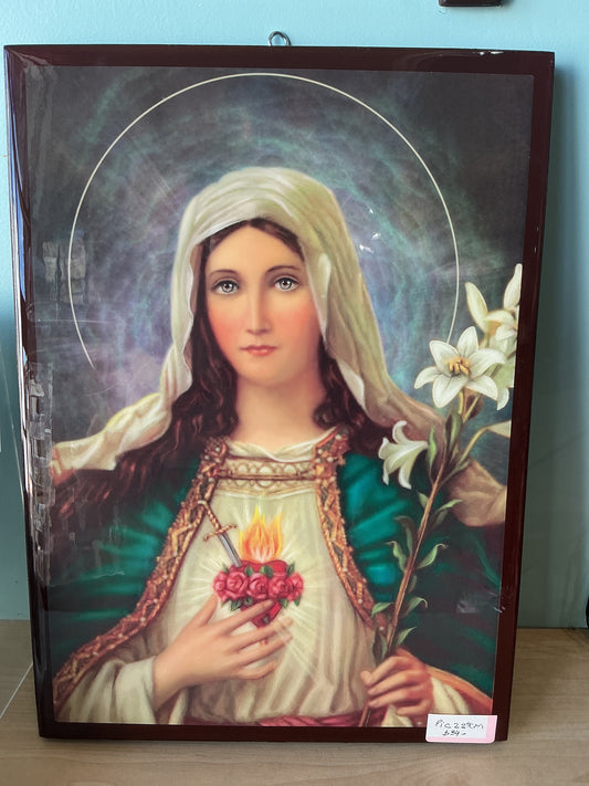 Picture 12x17  - Sagrado de Corazon de Maria