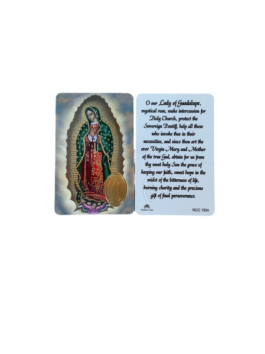 Our Lady of Guadalupe