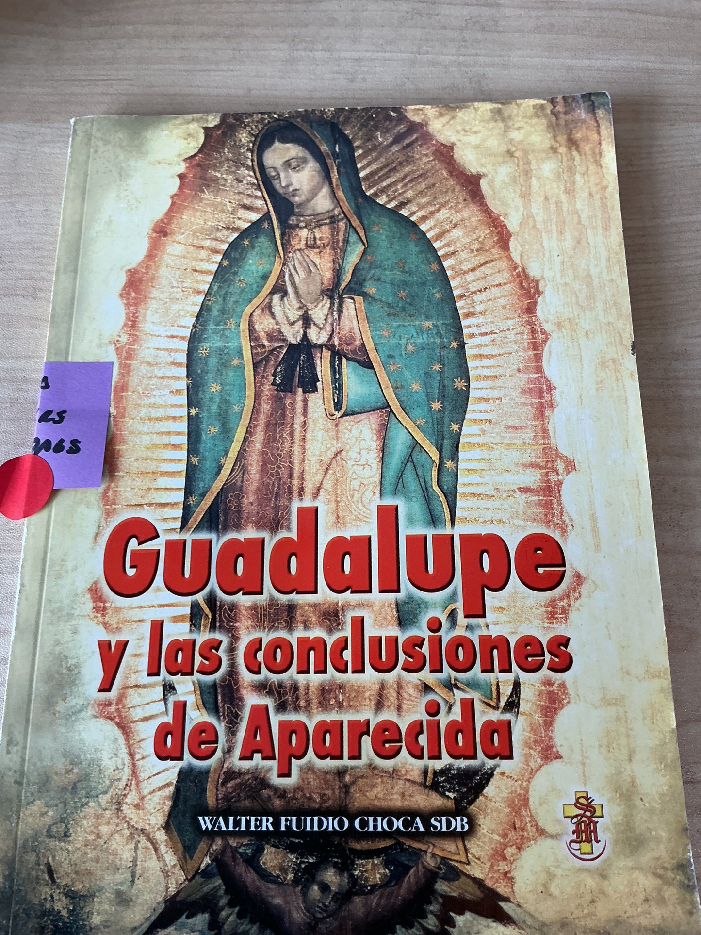 Guadalupe y las conclusiones de Aparecida