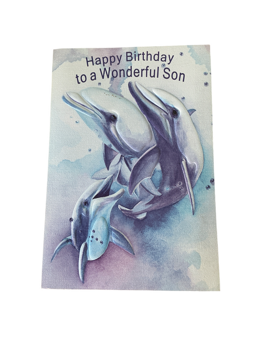 Happy Birthday to a Wonderful Son