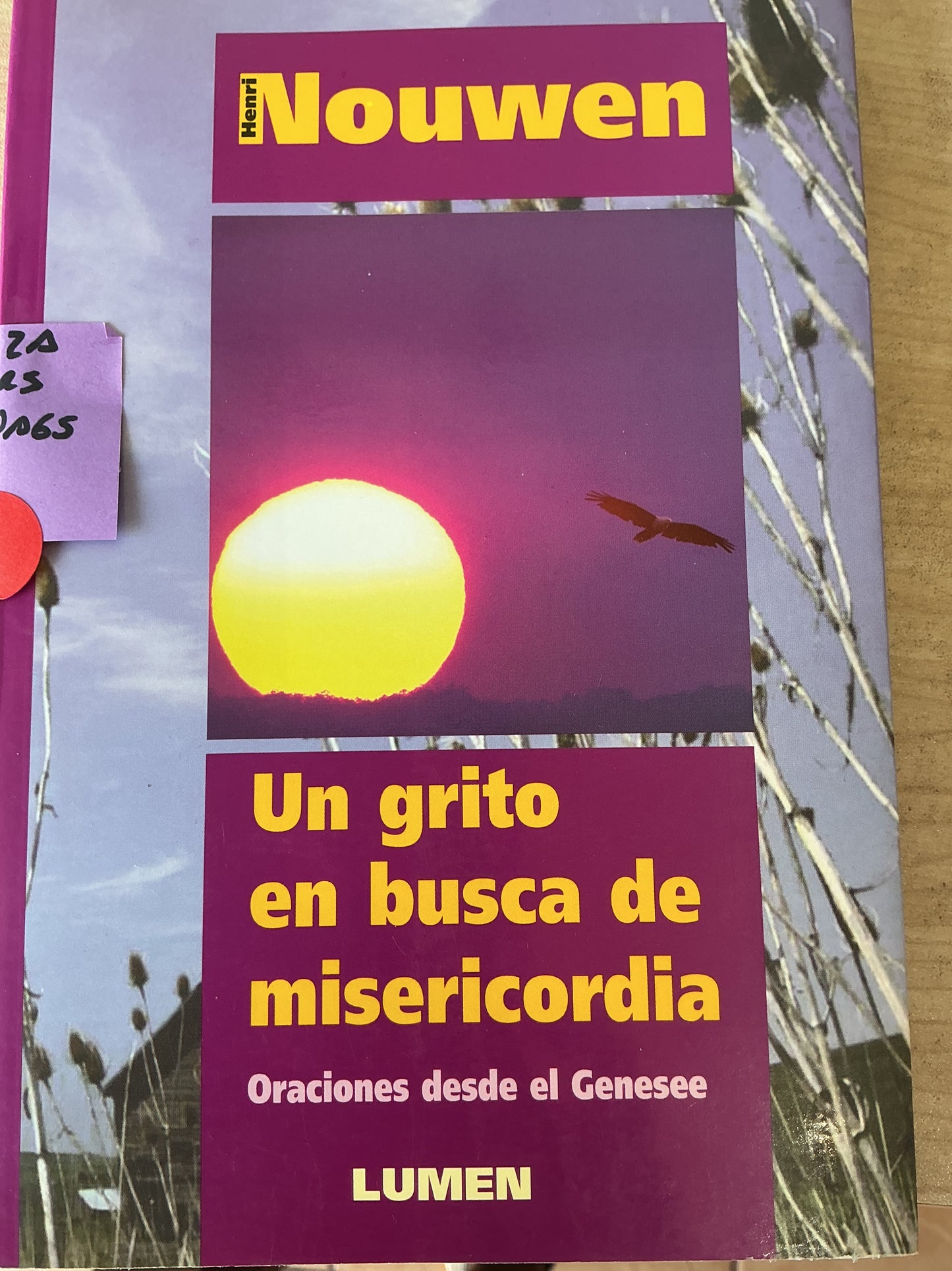 Un grito en busca de misericordia - Oraciones desde el Genesee