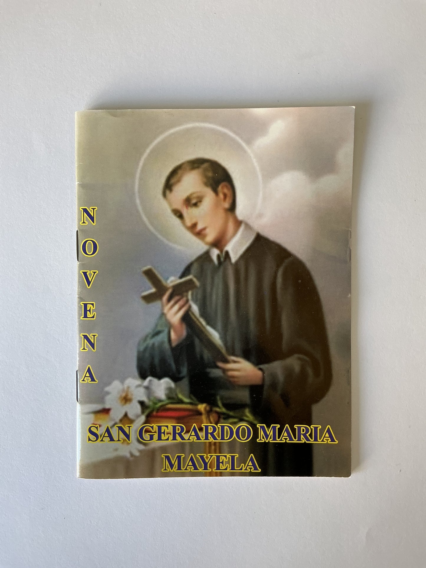 Novena San Gerardo Maria Mayela