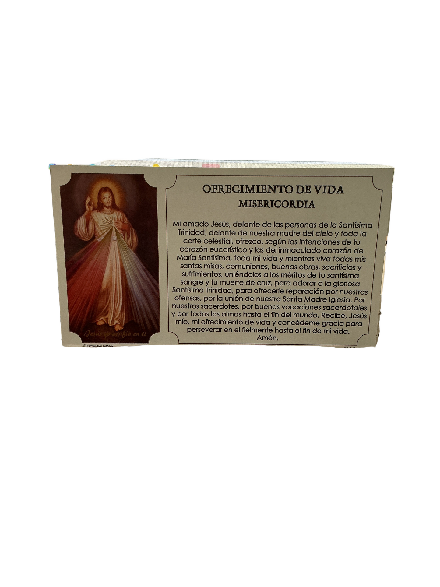 Cedula Ofrecimiento de Vida Misericordia