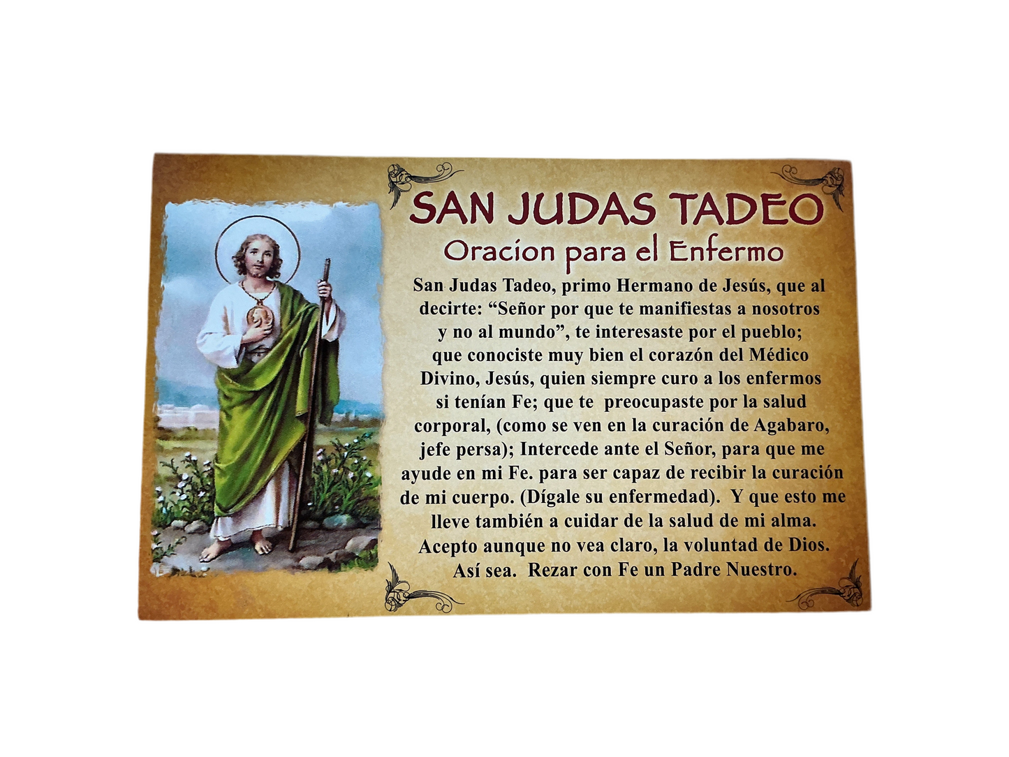 Cedula San Judas Tadeo