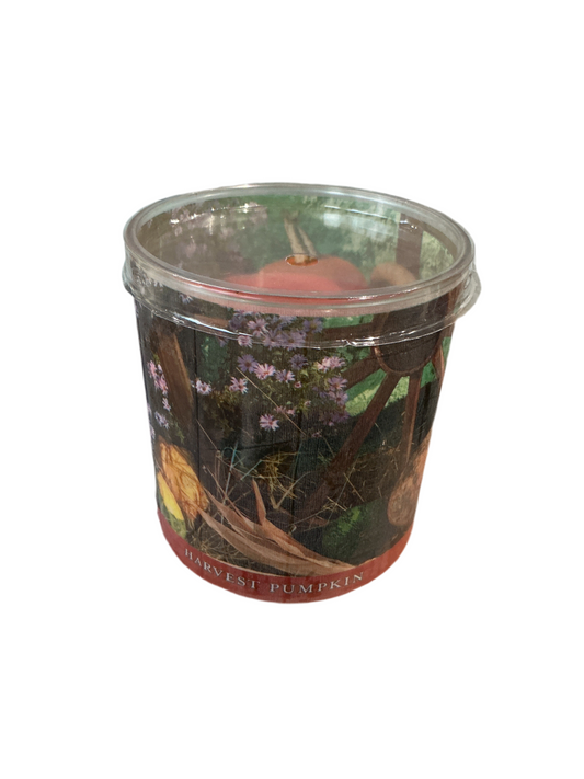 Harvest Pumpkin Candle