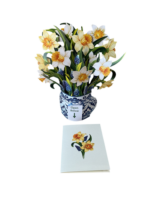 Pop-Up Greeting Card - English Daffodils - with matching notecard
