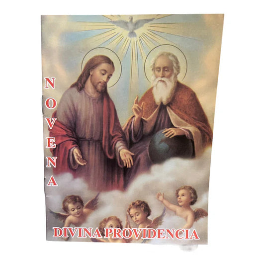 Novena Divina Providencia