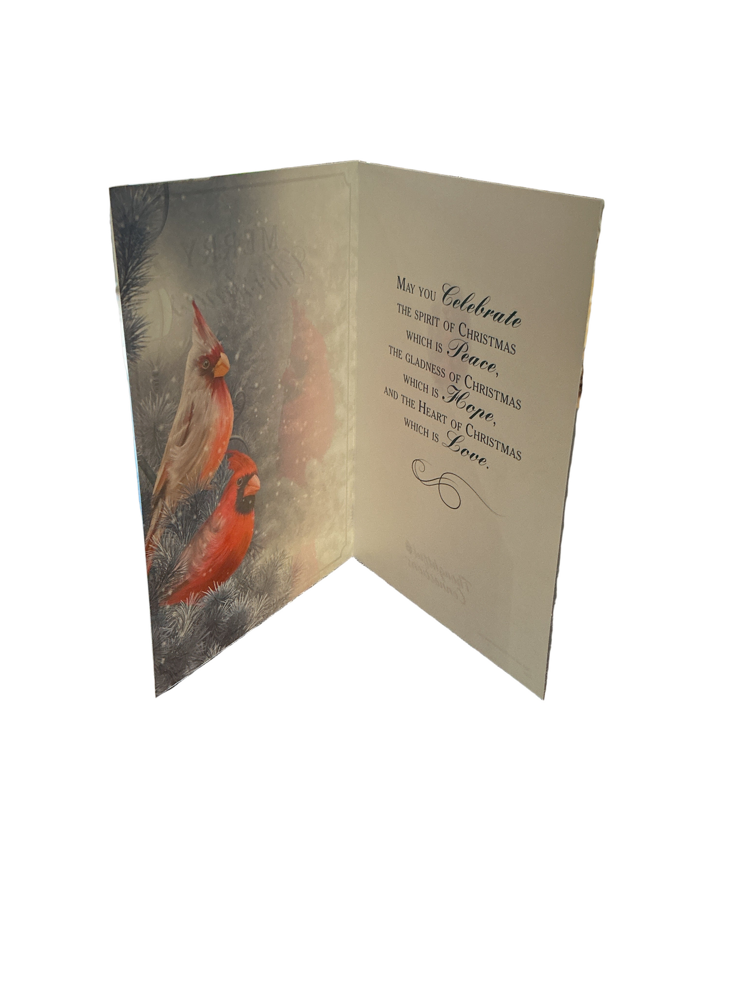 Merry Christmas Card