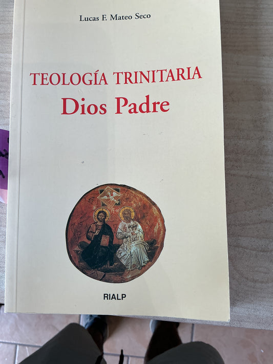 Teología Trinitaria - Dios Padre