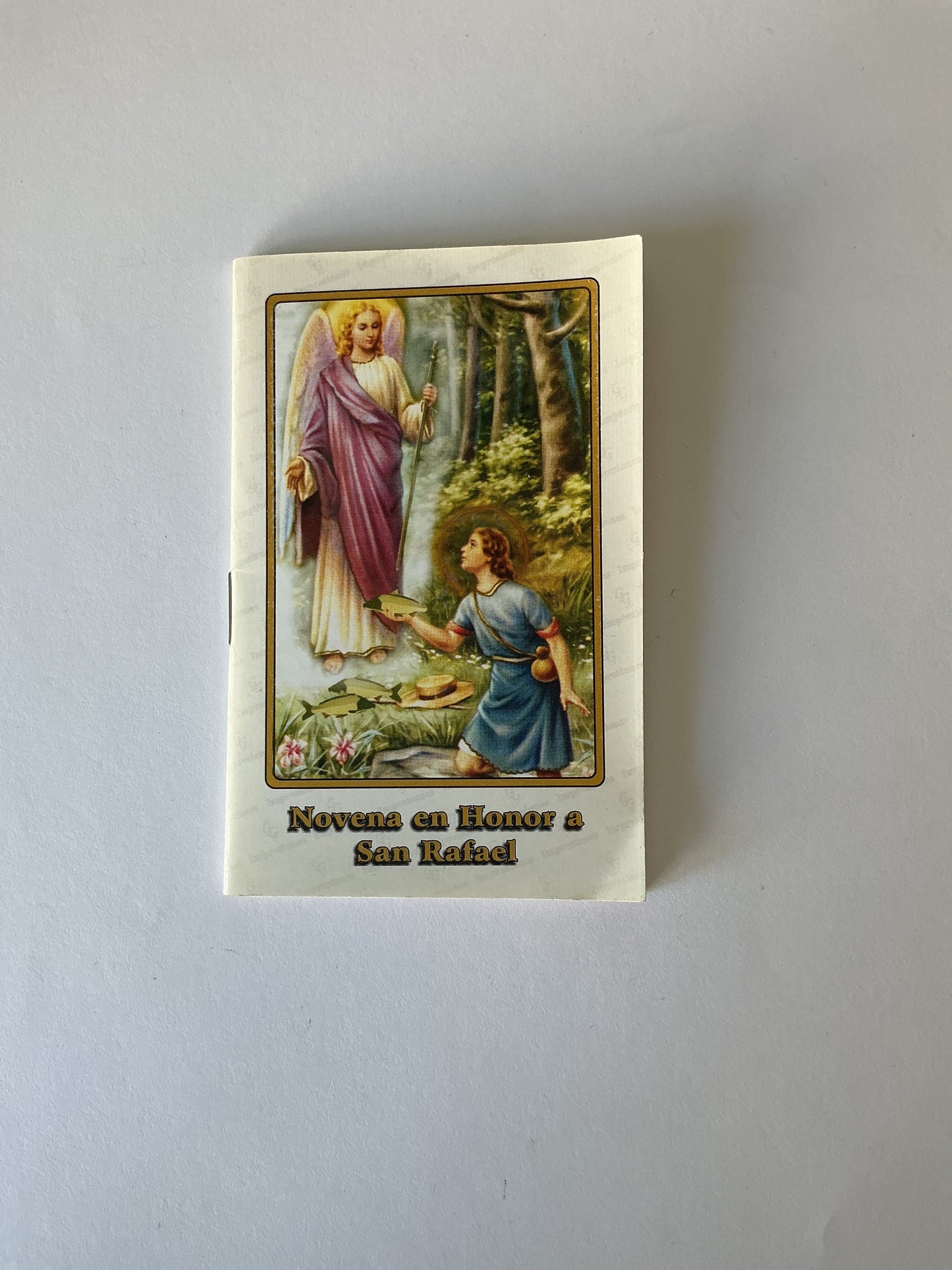 Novena en Honor a San Rafael