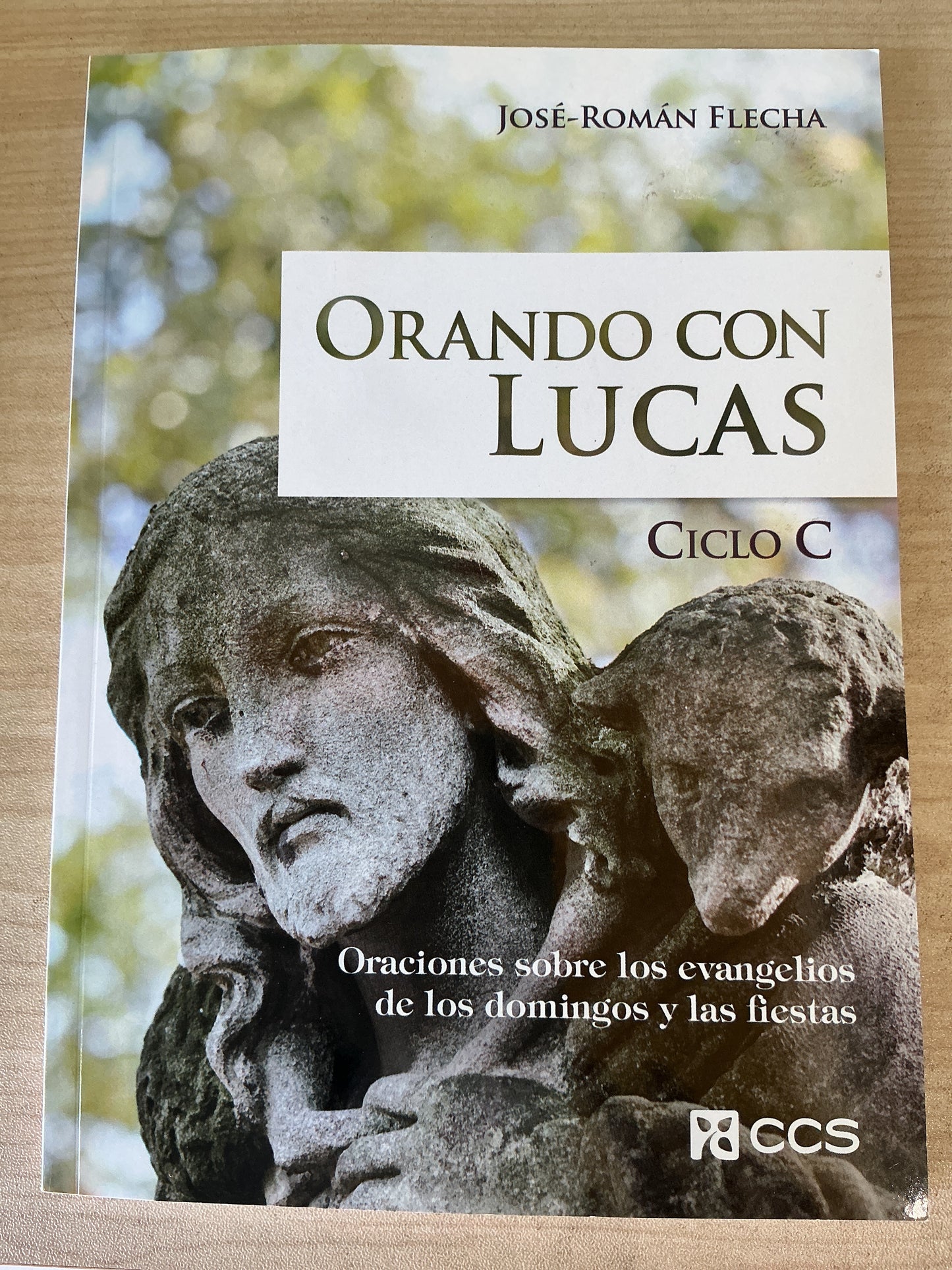 Orando con Lucas - Ciclo C