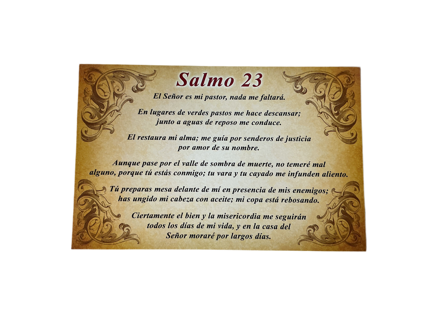 Cedula Salmo 23