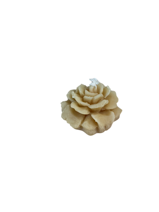 100 % Beewax Candle
