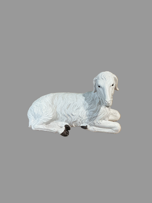 Animales para Nacimiento - Borrego