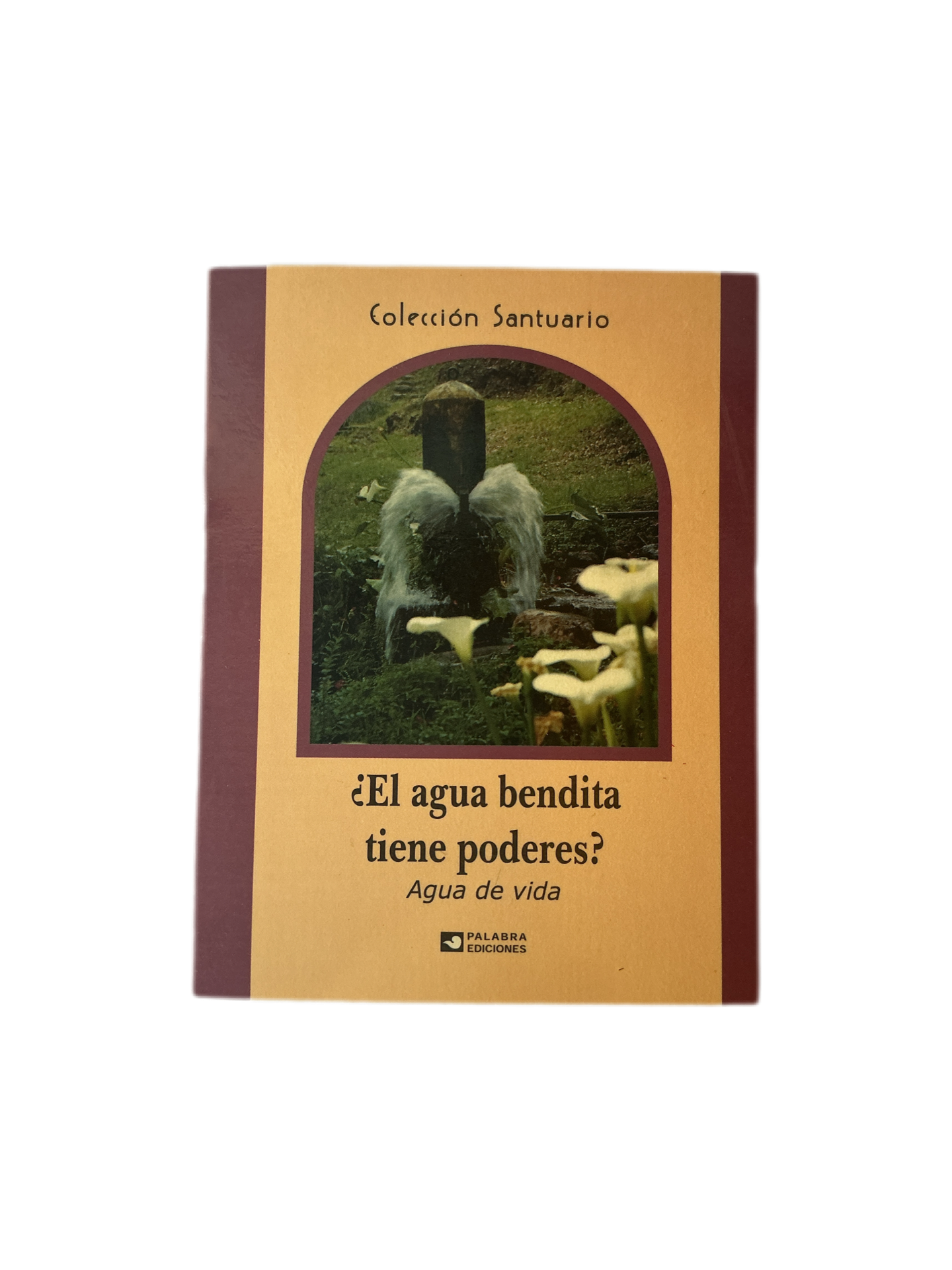 El Agua Bendita Tiene Poderes?