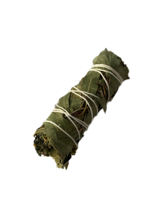 Blanc Incense
