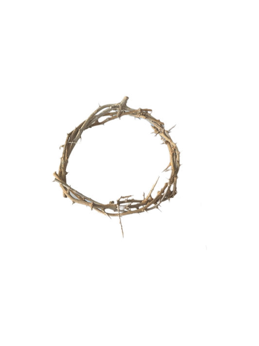 6" Crow F Thorns