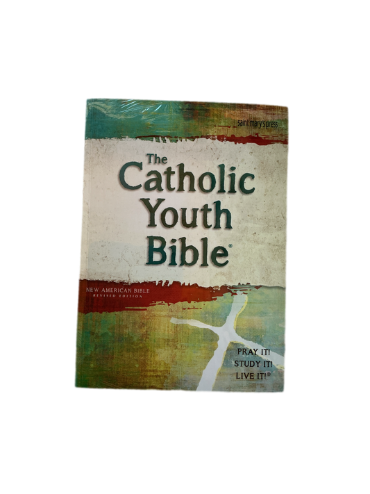 The Catholic Youth Bible