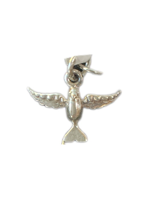 Medal Silver Holy Spirit